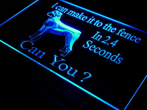 Beware Rottweiler 2.4 Second to Fence Light Sign